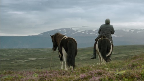 O koňoch a ľuďoch (2013) online