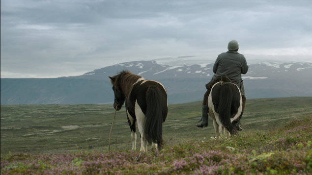O koňoch a ľuďoch (2013)