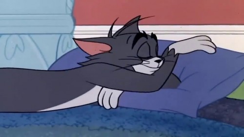 Tom a Jerry   Šanca snívať (2022) online