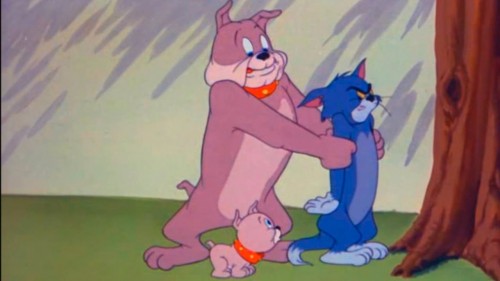 Tom a Jerry   To je moje šteňa (2022)  online