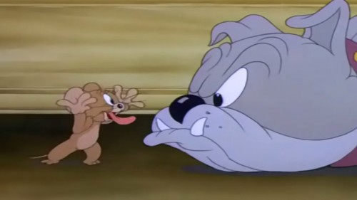 Tom a Jerry   Problémy so psom (2022) online