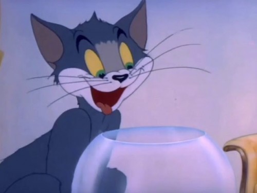 Tom a Jerry   Pozornosť (2022) online