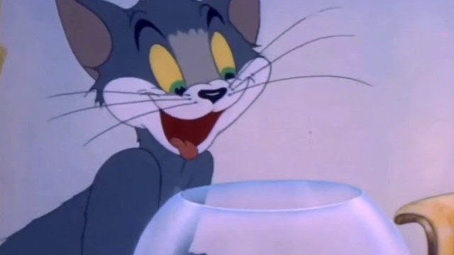 Tom a Jerry – Pozornosť (2022)