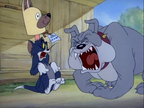 Tom a Jerry   Tom sa maskuje (2022) online