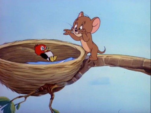 Tom a Jerry   Problémy s myšou (2022) online