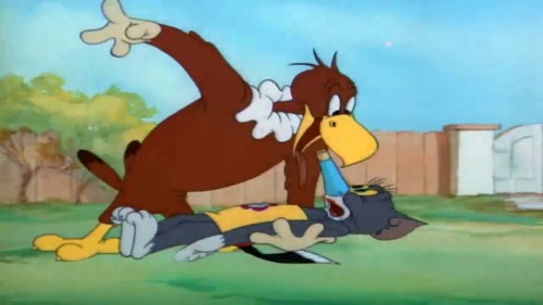 Tom a Jerry   Vták flirtuje (2022) online