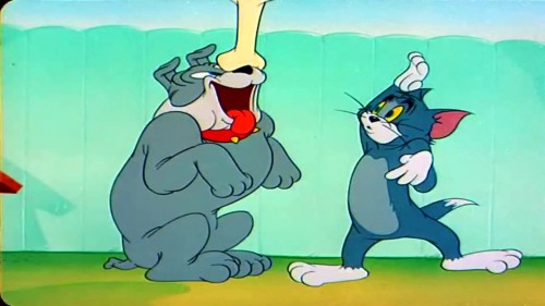 Tom a Jerry   Obvinená mačka (2022) online