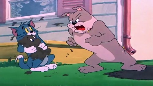 Tom a Jerry   Okúpaný psík (2022) online