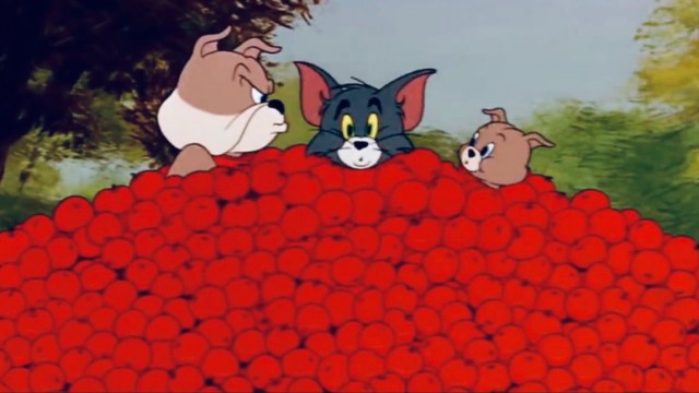 Tom a Jerry – Piknik (2022)