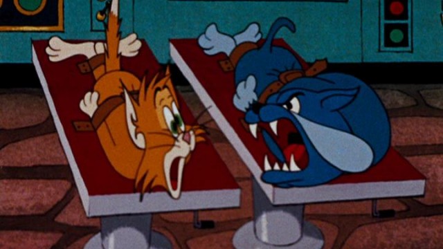 Tom a Jerry – Milé mačiatko (2022)